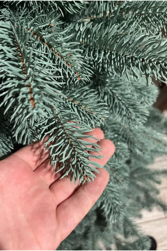 Лита ялинка Ковалівська Premium блакитна 150 см