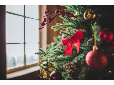 Когда убирать елку в 2023 году: как правильно удалить новогоднюю красавицу